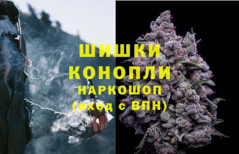 купить   Бабаево  Бошки марихуана THC 21% 